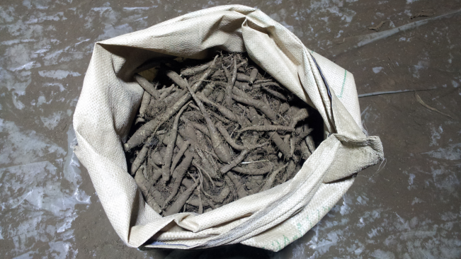ױ⽺ġ(20kg)ȭ޽ϴ 12Ȯմϴȭ Ź帳ϴ10Ű30000